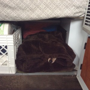 F1BF1A97-C1CC-43DB-A417-26ED051CABAA