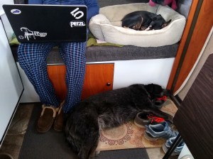 5E9F97B3-FF9D-4431-A952-A998F3B4362F